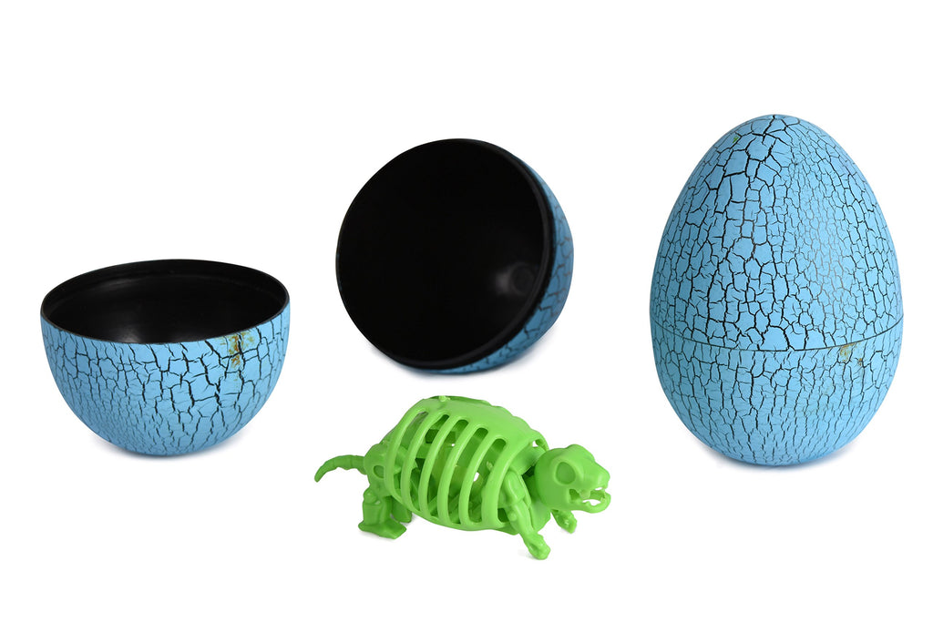 eeBoo 3D Dinosaur Assortment/12 - Bobangles